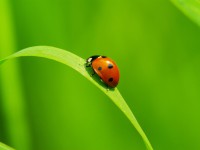 In arrivo Ecocasa Energy, la fiera green a Pordenone